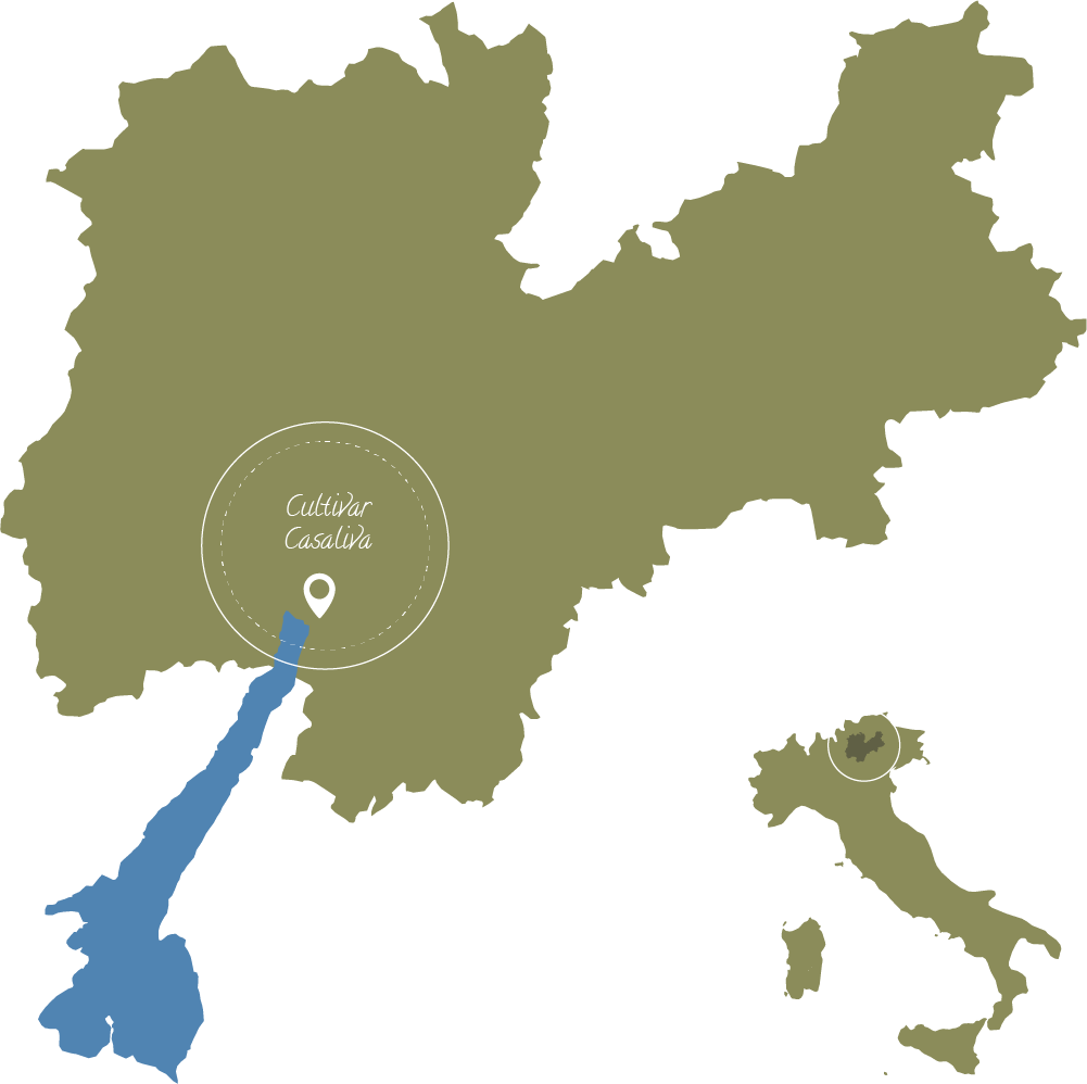 mappa 1200