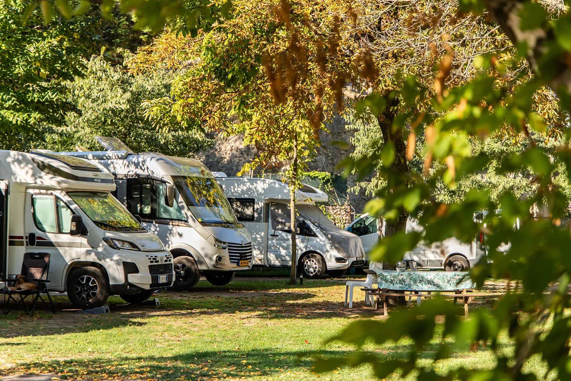 Camping Grumèl tra gli olivi