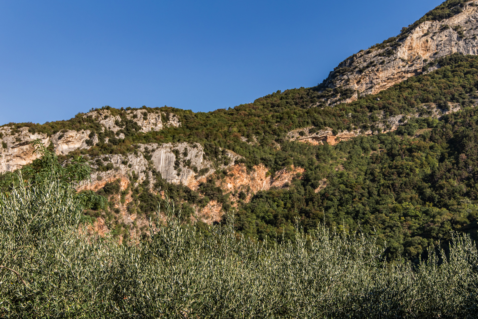 Natura intorno al Camping Grumèl